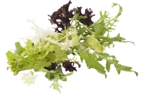 Rucola melange exclusief zak 250gr