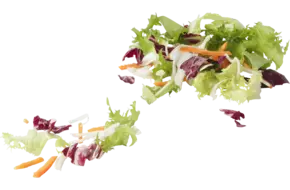 Gemengde slamix gesneden zak 200gr
