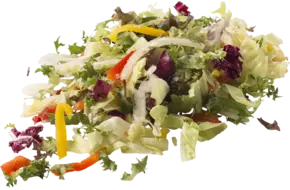 Frisee slamix zak 500gr