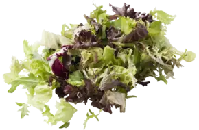 Slamix rucola zak 500gr