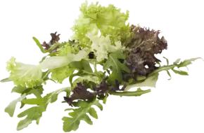 Rucola mix garnituur zak 1kg per