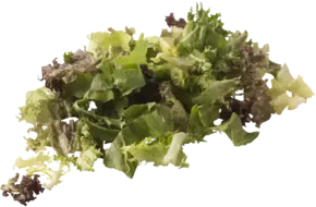 Sla speciaal zak 500gr