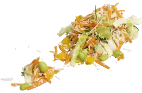 Koreaanse salade 1kg