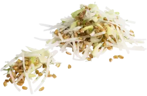 Parelgortsalade met bleekselderij 1kg stuk