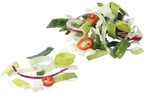 Thaise-Noodle groenten 1kg