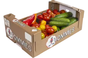 Snackgroenten vergaderdoosje 1,4kg