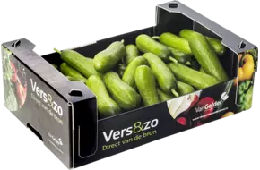 Snackkomkommer doos 1kg