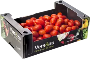 Snacktomaat rood doos 1,5kg