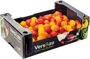 Snacktomaat mix doos 1,5kg
