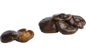 Shii-take gemarineerd 600gr