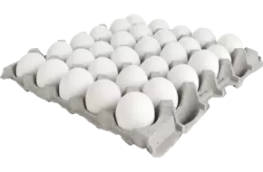 Witte eieren