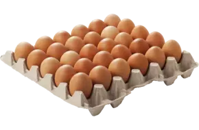 Scharrel eieren maat L