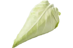 BIO Spitskool