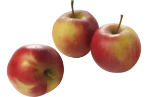 BIO appels verpakt 4st