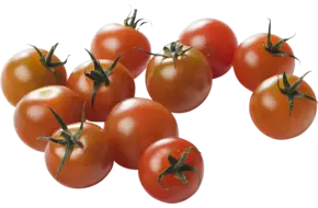 BIO Tomaten cherry 250gr