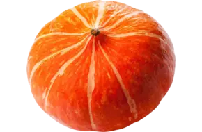 Pompoen Hokkaido maat 8