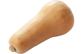 BIO Flespompoen