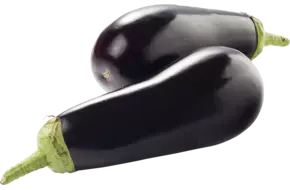 BIO Aubergine