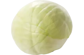 BIO Witte kool