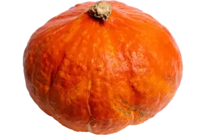 Hokkaido pompoen regeneratief