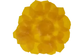 Carpaccio gele biet bak 200gr